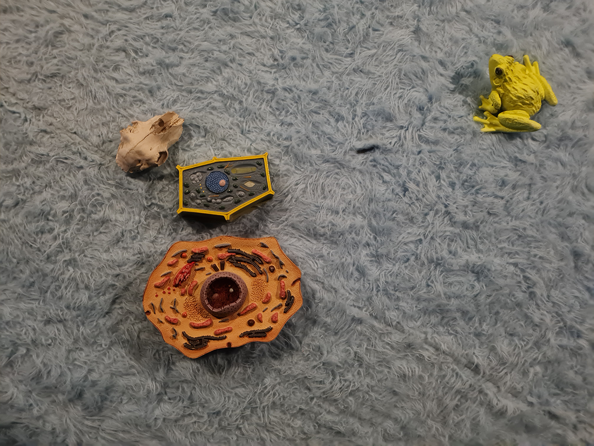 Mobilizing Citizenship workshop by Walk of Shame, SHARING IS CARING, autumn 2022.